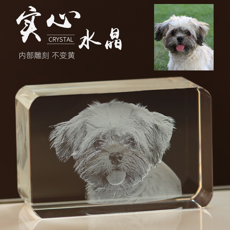 宠物纪念照片礼物小猫狗狗水晶立体内雕定制发光礼品送闺蜜走心礼