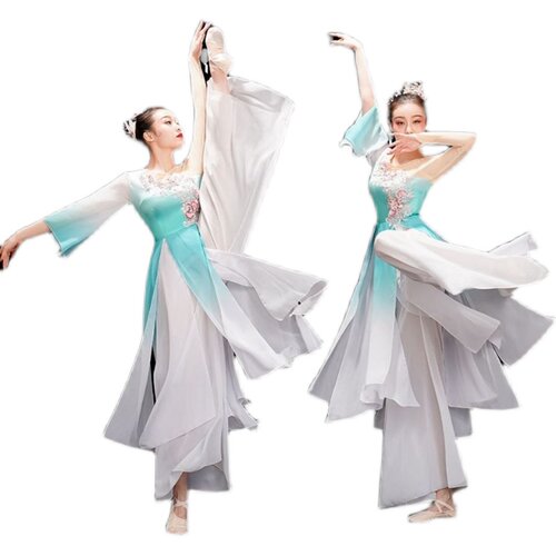 古典舞演出服女飘逸2021新款舞蹈服服装中国风独舞扇子舞身韵纱衣