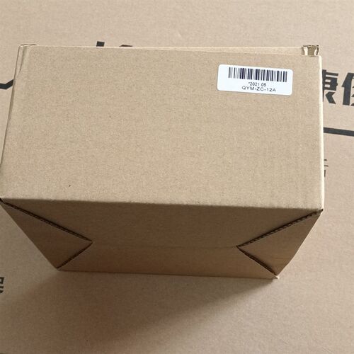 可编程脉冲控制仪QYM-ZC-12A 12路输入输出220V除尘脉冲阀控制