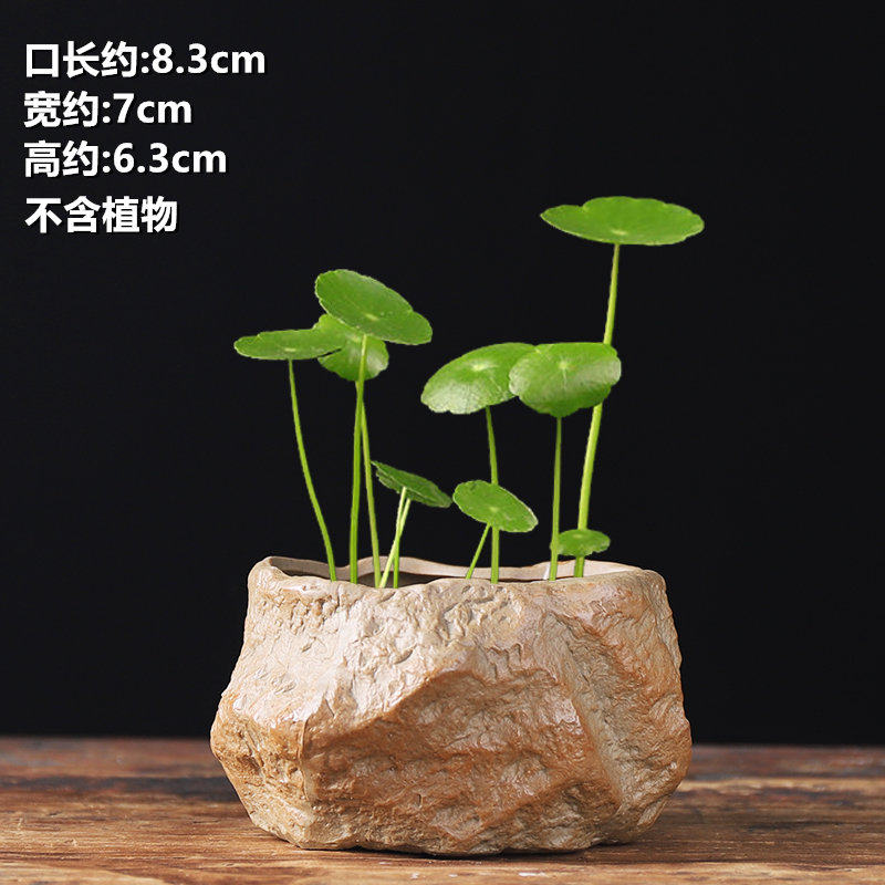 铜钱草绿萝碗莲专用水培花盆粗陶仿石头无孔水养器皿客厅桌面盆景