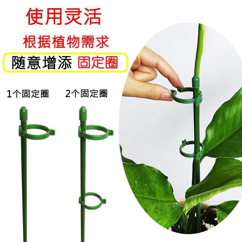 园艺花架支撑杆花卉植物盆栽防倒固定器蝴蝶兰花支架卡扣式支撑架图片