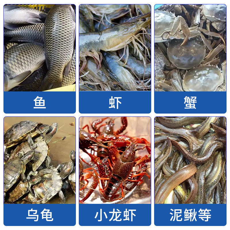 生物底改水产养殖改底王鱼虾蟹塘除黑臭降氨氮亚盐分解淤泥净水剂