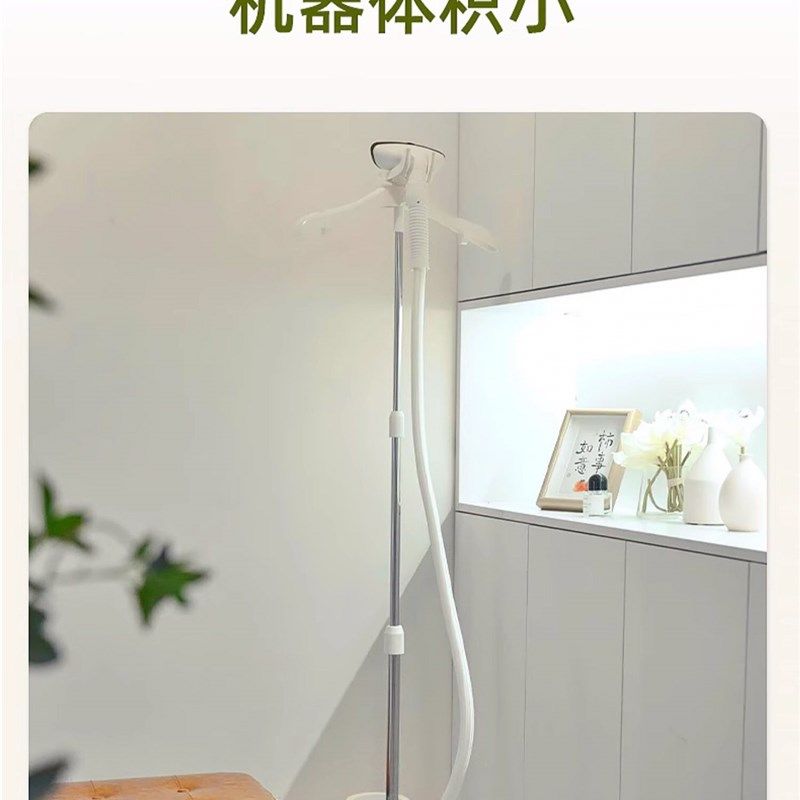 域桥蒸汽挂烫机X6大功率大水壶服装店商用家用熨斗
