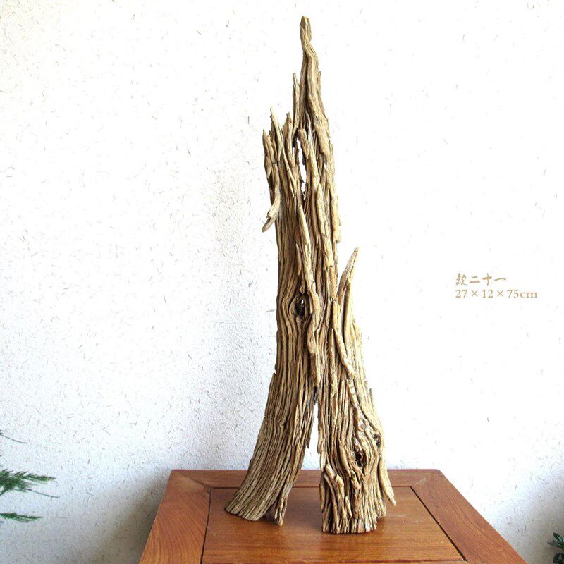 千年胡杨老木风化枯木根艺根雕整体随形摆件自然生态创意家居软装