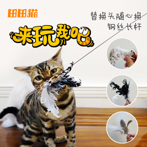 田田猫长杆钢丝羽毛逗猫棒替换头猫咪用品猫玩具耐咬逗猫器猫用品