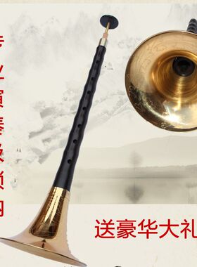 专业演奏 精品乌木唢呐大G/A/降B/C/D/E小F调式齐全 喇叭 专业哨
