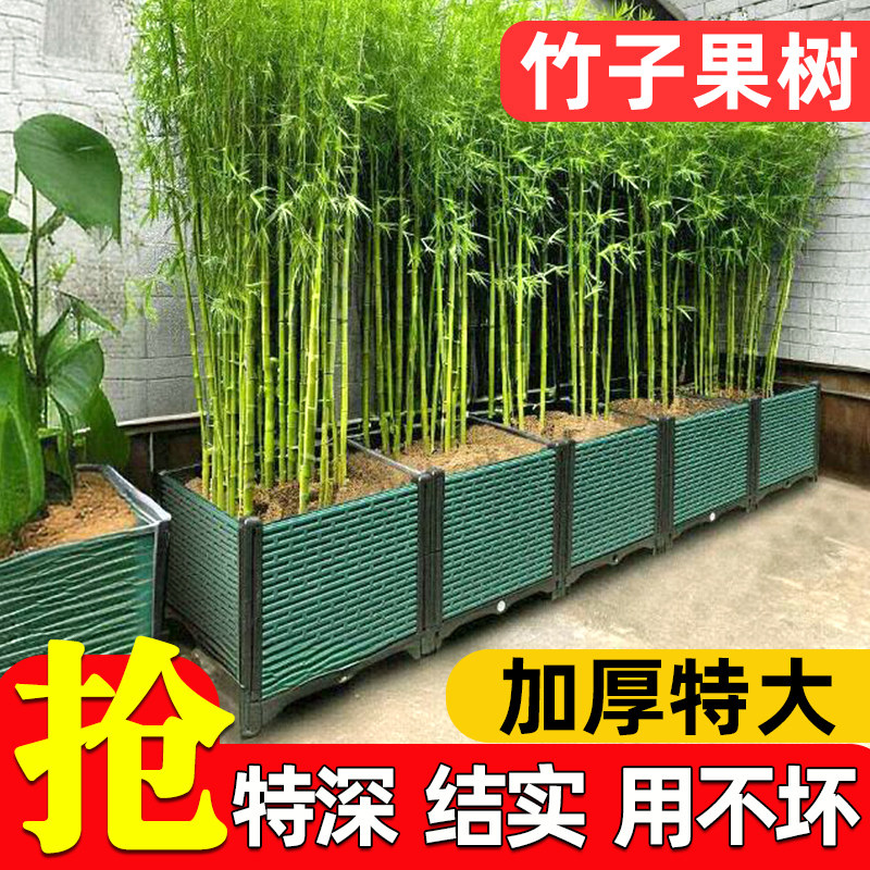 竹子花盆专用月季发财树金钱树栽果树大号栽树花箱种植箱户外种菜