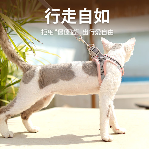 猫咪牵引绳防挣脱溜猫绳春夏外出专用背心式胸背带狗狗小型犬用品