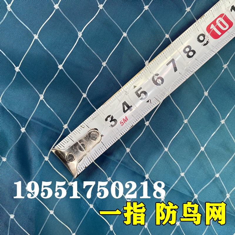 果园防鸟用网果树樱桃葡萄梨树蓝莓草莓大棚防鸟用的网天网防鸟网