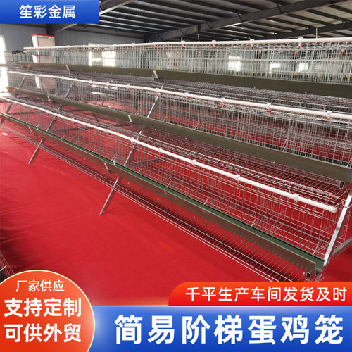 绿槽蛋鸡笼热镀锌四层五门自动水箱大型设备养殖场家用养鸡笼子