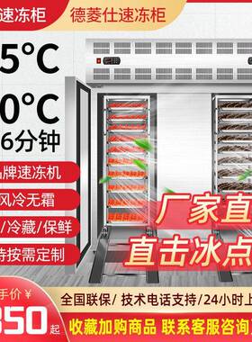 德菱仕速冻柜商用零下80度大容量预制菜肉类海鲜风冷速冻机商用