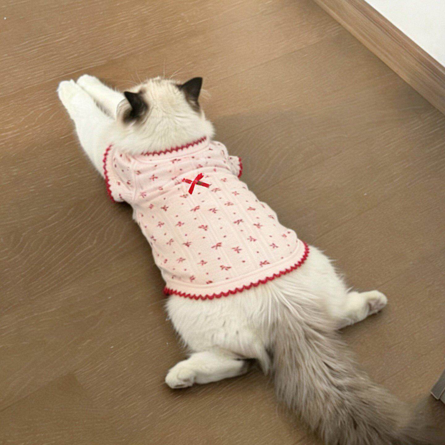 春天猫咪衣服布偶猫德文猫薄款防掉毛春装幼猫幼犬夏季可爱背心