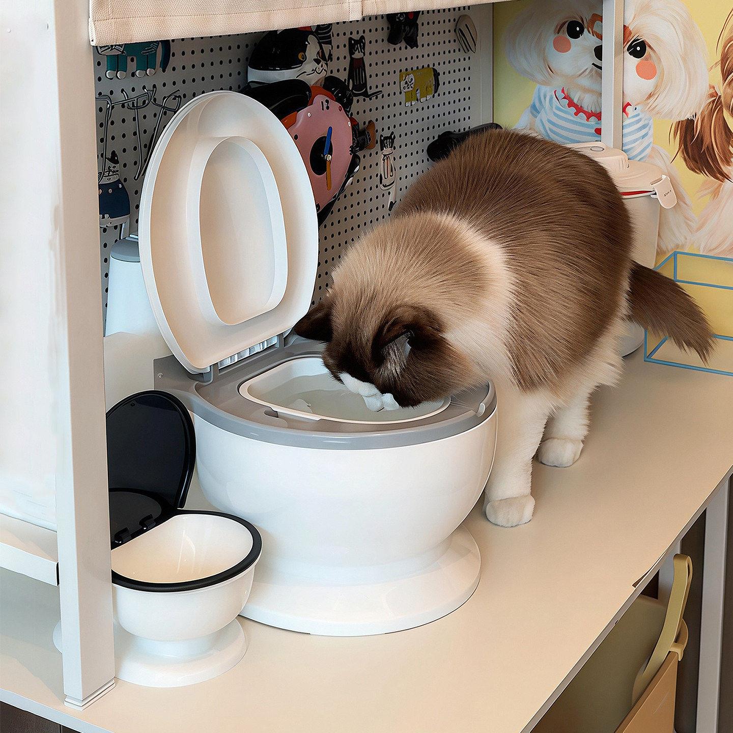 搞怪马桶猫咪水碗防打翻护颈骗水神器猫狗宠物专用创意2026新款