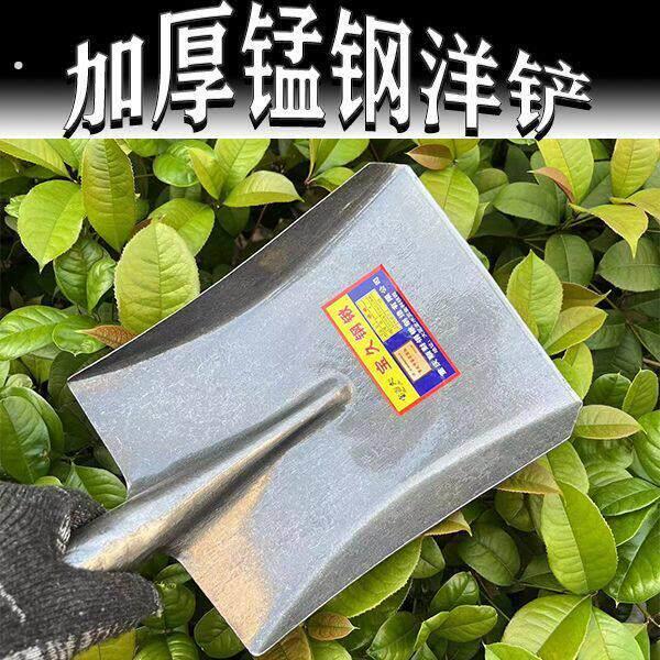 大铁锹老式特大号锰钢平头清粪铲方头煤锹高碳钢加大加厚加宽板锹
