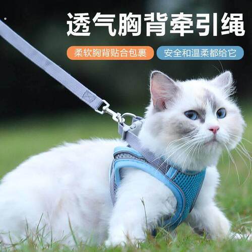小体犬幼犬专用牵引绳超小体约克夏胸背茶杯犬1斤狗绳小鹿犬狗狗