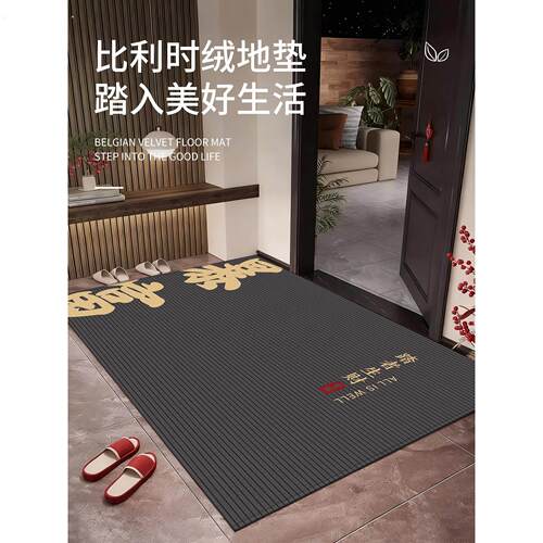 进门地垫入户玄关防滑除尘垫门口蹭脚垫室外吸水耐脏耐磨家用门垫