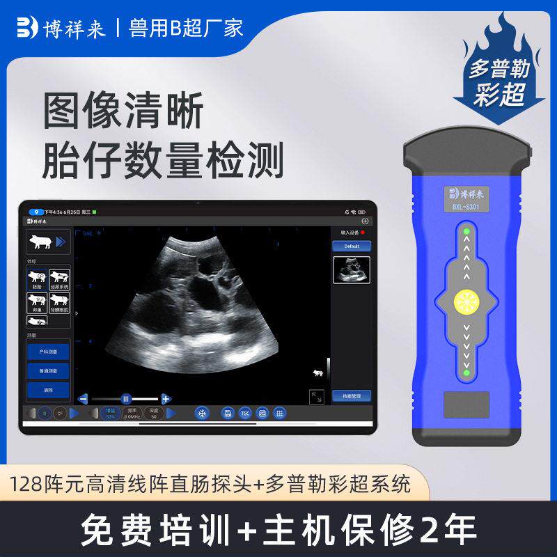 清猪羊B超测孕仪批次化管理设备便携式猪卵泡检测仪无线B超