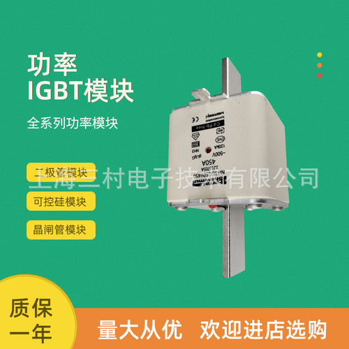 全新熔断器保险丝NH4AGG50V630 T1054291 NH4AGG50V800 V1054292