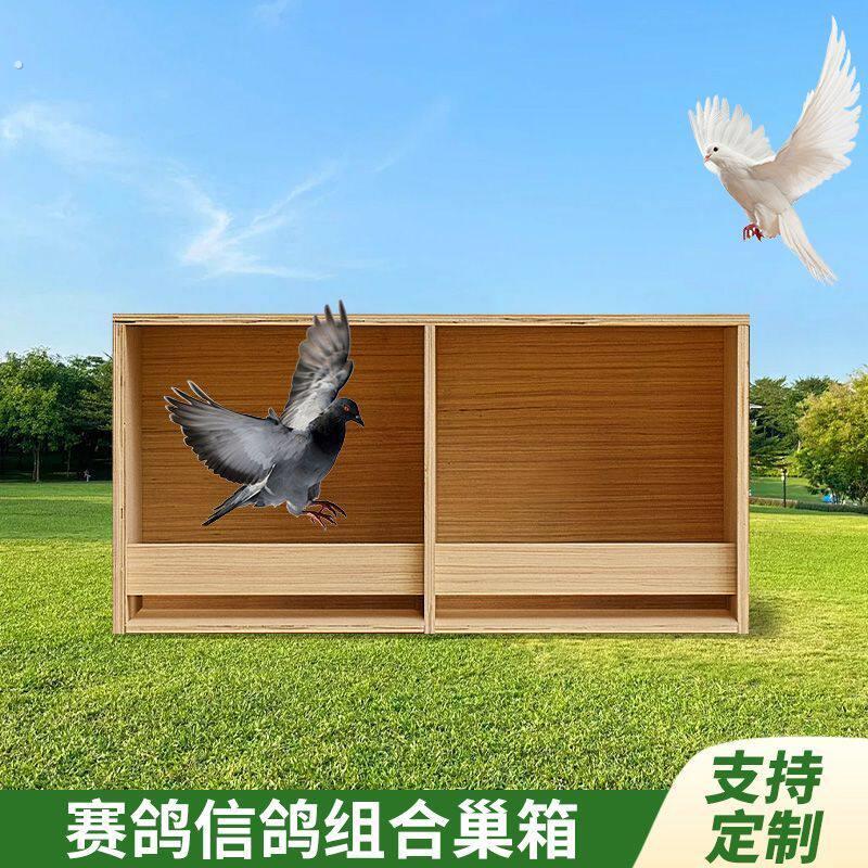 赛鸽专用新品鸽子巢箱户外养殖配对笼木制拼装阳台信鸽窝