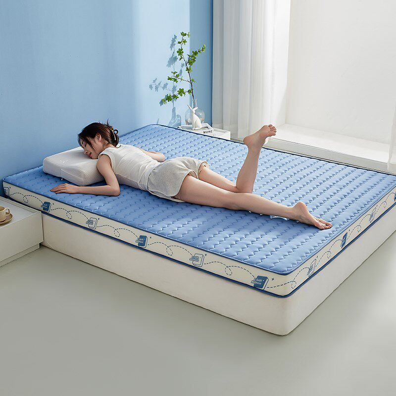 加厚乳胶记忆棉床垫软垫家用卧室榻榻米海绵垫子秋冬单人租房专用