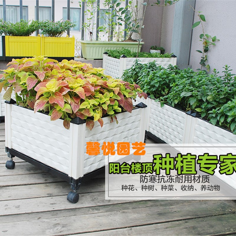 种植箱阳台种菜盆种菜专用箱室外屋顶楼顶花箱室内塑料种菜箱