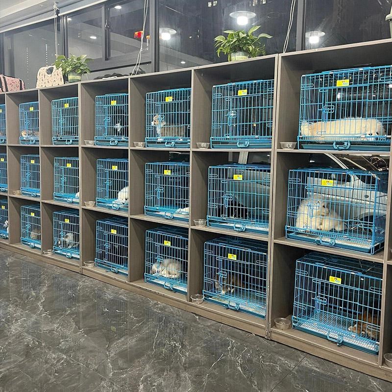 宠柜定制宠物店狗笼子猫笼展示柜寄养实木狗柜三层大型猫狗繁育笼