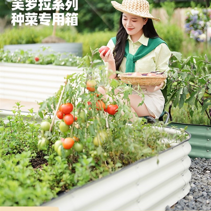 苗苗同款种菜专用箱室外种植箱异形花盆露台户外庭院铝合金属花箱