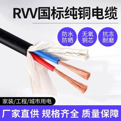 户外2芯4 6 10 16平方铜线YJV YJV22 2 X4X6X10铠装电缆RVV软电线