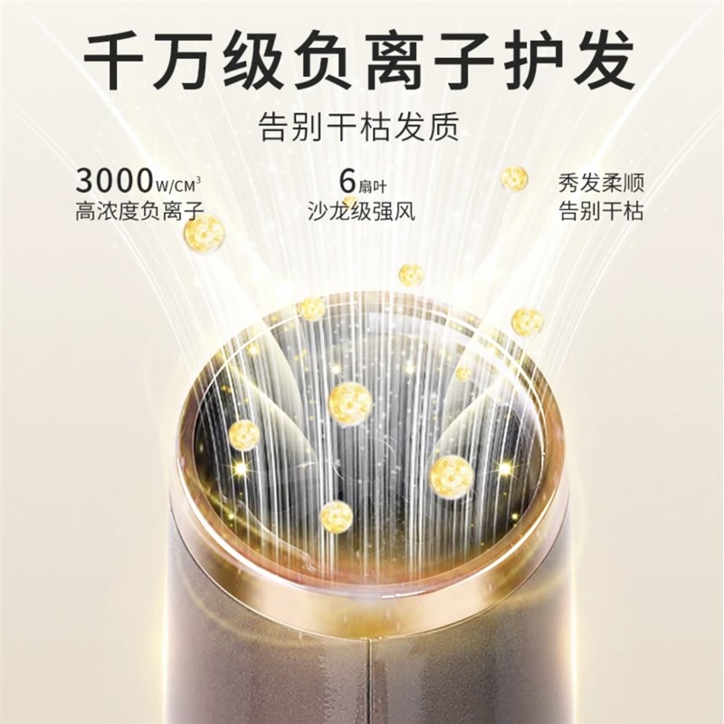 世豪吹风机R500沙龙专业韩式造型风筒高温大风速干电吹风