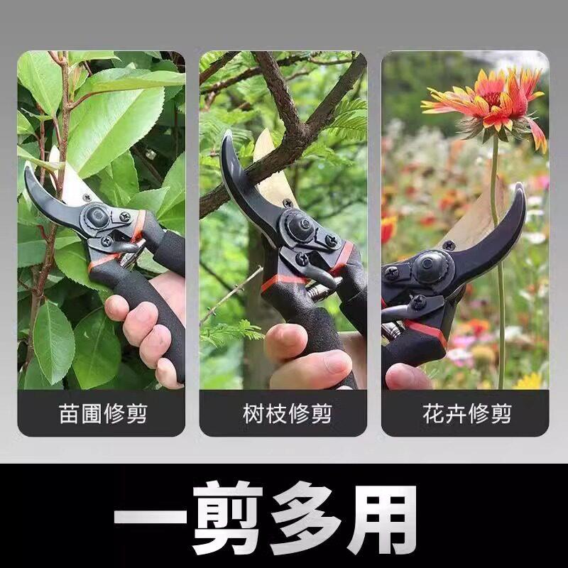 园艺剪刀修枝剪果树剪修树枝专用剪刀剪枝工具家用花艺园林修剪器