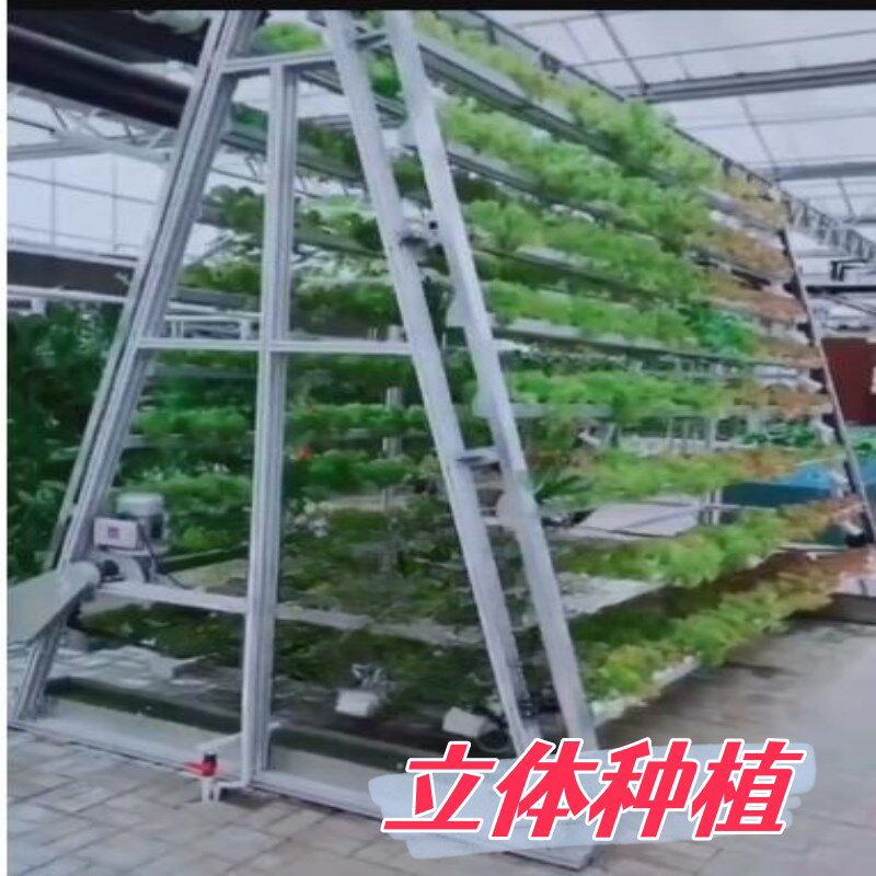高架多层栽培A字型支架 草莓立体种植旋转A字架温室大棚栽培种植图片