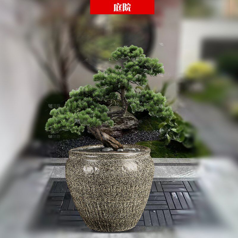 庭院大缸养睡莲碗莲荷花盆景德镇陶瓷金鱼缸水缸特大号仿古铜