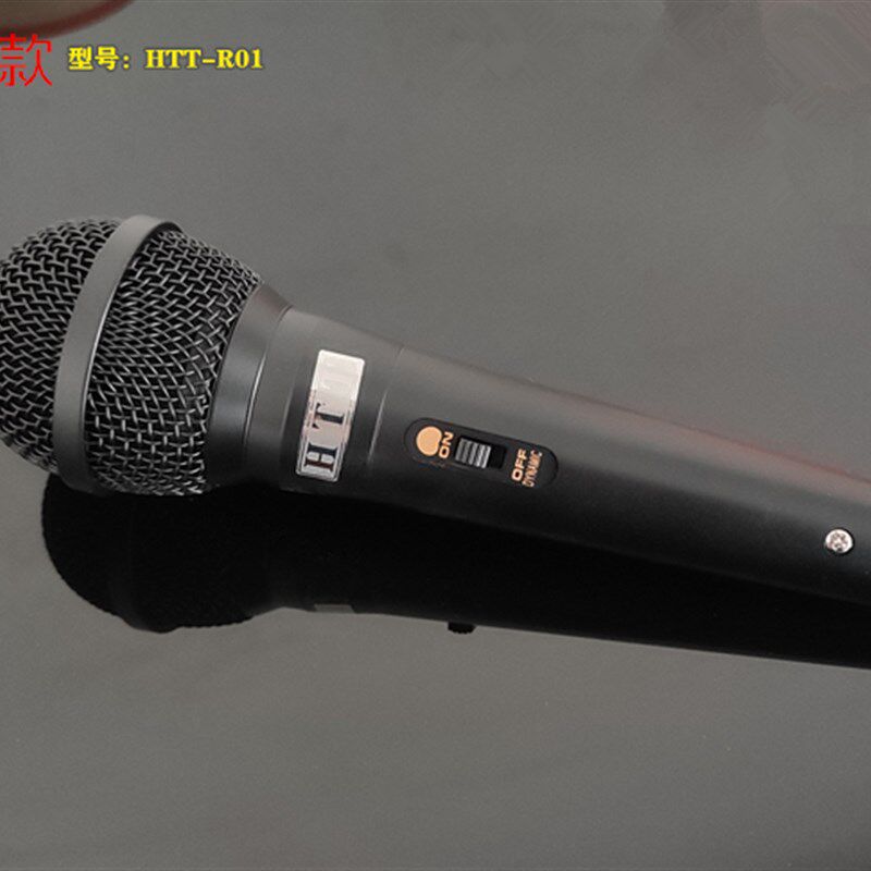 专业电容话筒中小振膜 背极式手持电容麦 完秒大振膜 HTT-R01唱歌