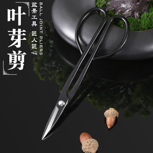 叶芽剪盆景修剪造型专用剪刀工具制作不锈钢园艺盆栽枝剪芽切剪刀