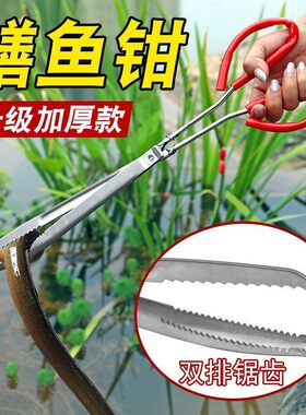 鳝鱼夹泥鳅螃蟹钳子不锈钢黄鳝夹子防滑防脱抓捉专用工具赶海神器
