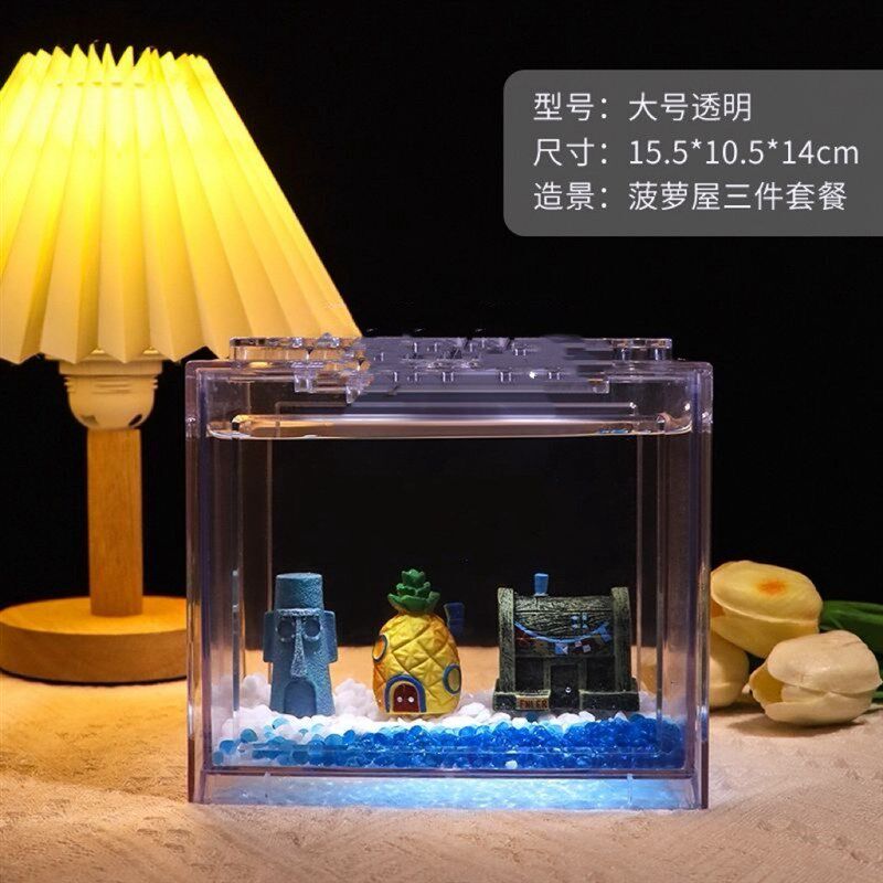 海星饲养套餐 桌面宠物小景观 桌面鱼缸造景解压 海燕海星 礼品