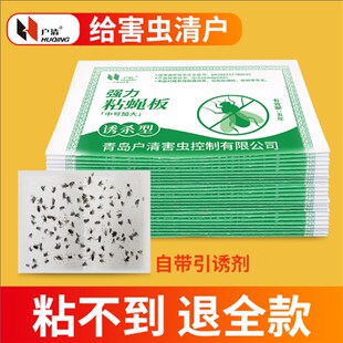 户清粘蝇纸板苍蝇贴强力神黏灭捕捉诱蛹器家用沾蜷仓厨房大号飞虫