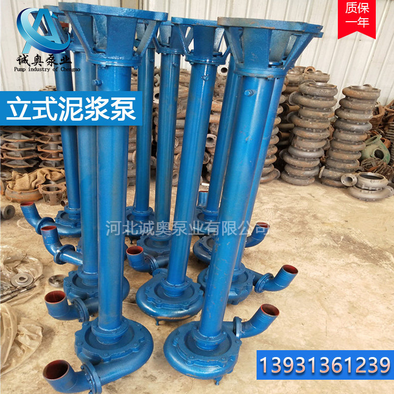 NL立式污水抽粪泵3/4/6寸泥浆泵抽泥沙化粪池抽泥液下排污泵杆泵