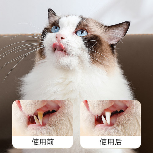 狗狗牙刷牙膏套装猫咪宠物除口臭可食用专用小牙刷神器清洁牙结石