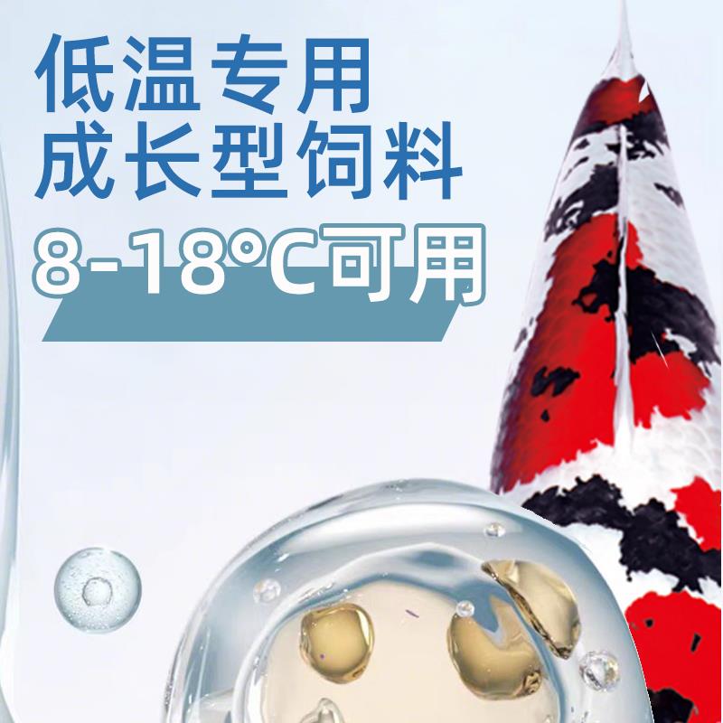 红鲲低温成长饲料8-18度锦鲤鱼饲料专用鱼食上浮不浑水鱼粮大颗粒