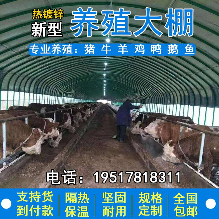 养殖大棚钢管骨架全套椭圆管牛棚羊圈猪舍鹅兔养鸡场连栋温室大棚