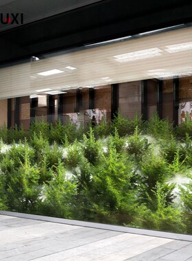 云雾森林玻璃贴纸 自然植物风格办公室会议室双面彩色装饰贴纸