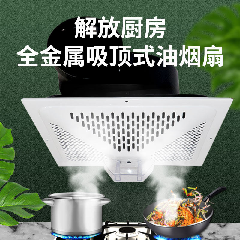 强力大风力铁排风扇14寸家用换气扇厨房吸顶式排油烟风机排气扇