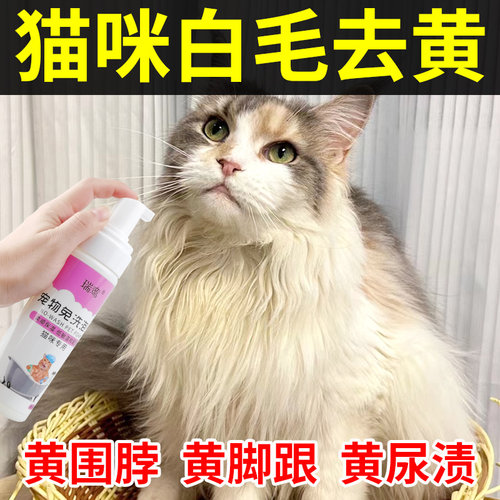 猫咪毛发去黄毛美白嘴角猫毛泪痕油尾巴黑下巴清洁黄脚跟宠物免洗