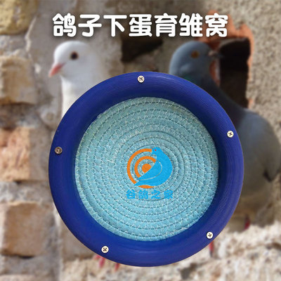 塑料鸽子窝孵蛋专用信鸽孵化巢窝鸽窝垫四季通用斑鸠窝鸟窝鹦鹉窝