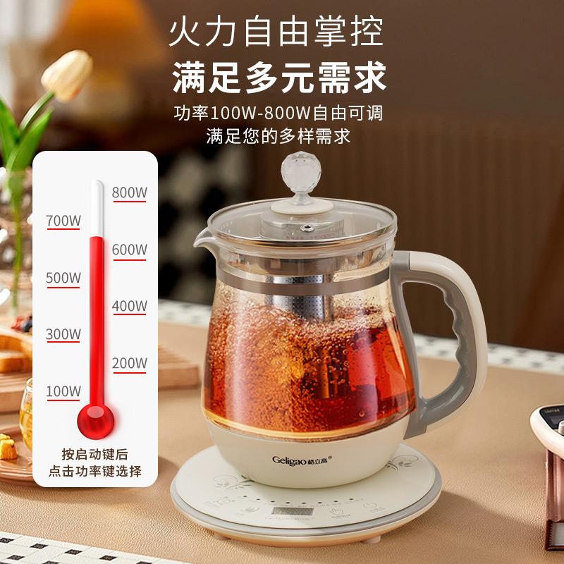 养生壶家用多功能燕窝炖盅机中药电煎壶玻璃蒸汽煮茶壶专用电煮锅