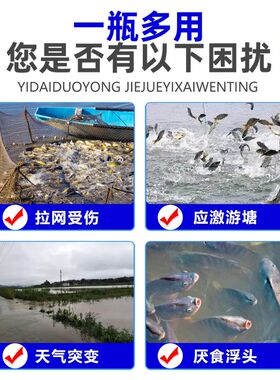 水产养殖专用鱼药泼洒姜耐运输诱食抗应激护鳞紧鳞用后光滑整洁
