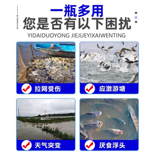 水产养殖专用鱼药泼洒姜耐运输诱食抗应激护鳞紧鳞用后光滑整洁