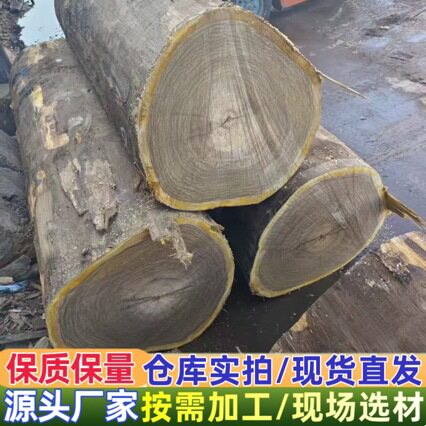 榄仁木TRE板材烘干板实木板材家具材厂家批发家装木材防腐材直销