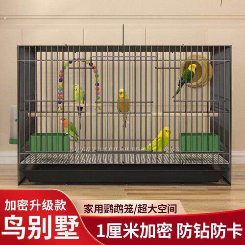 铁笼鸽子笼绣眼笼铁艺八哥养殖笼家用鸟笼繁殖笼大号豪华鹦鹉笼
